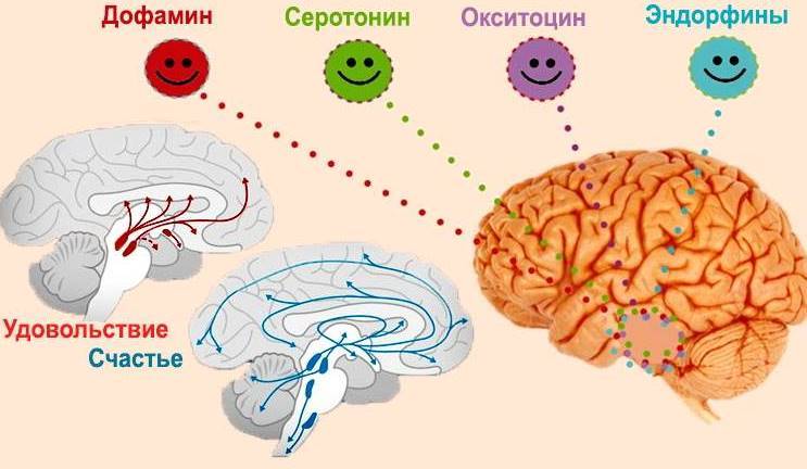 Гипноз и Сон и В чем Разница?